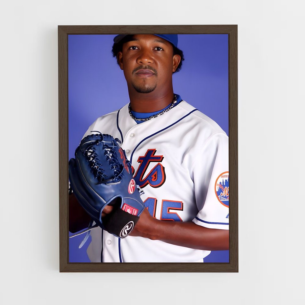 Poster La Gloire du Baseball (vue 5)